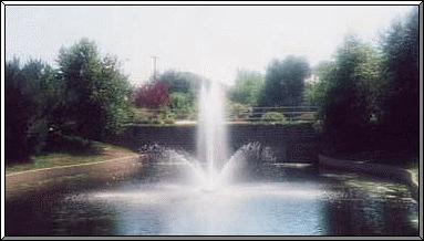 picture of a fountain  taken be Angela Robinson